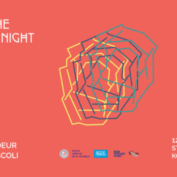wtf_night_what_the_france
