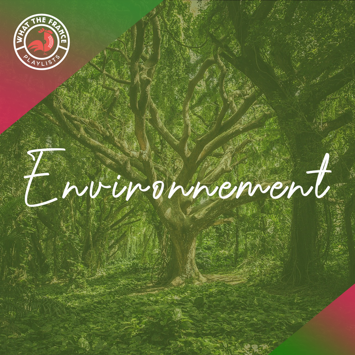Environnement
