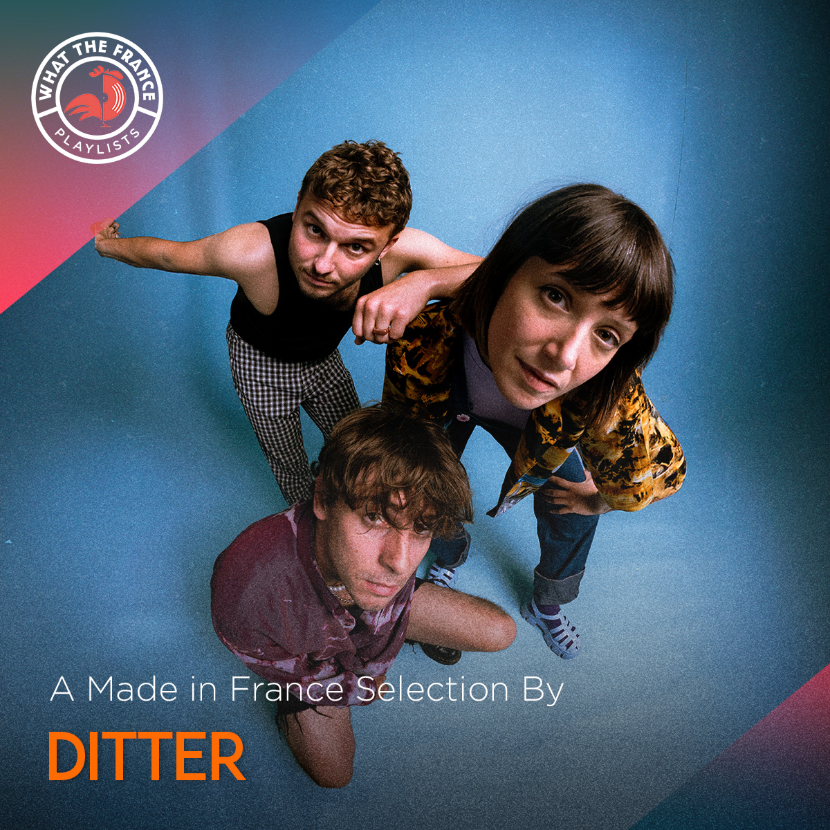 A made in France selection by Ditter